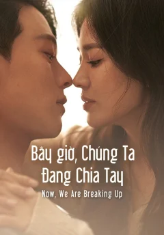 Xem phim Bây Giờ, Chúng Ta Đang Chia Tay - RoPhim