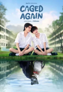 Xem phim Dũng Cảm Nói Yêu Người - RoPhim