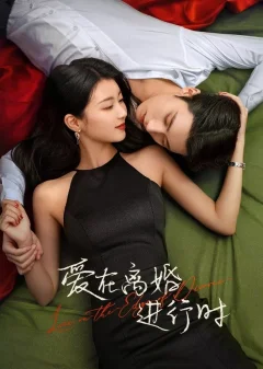 Xem phim Yêu Khi Sắp Ly Hôn - RoPhim