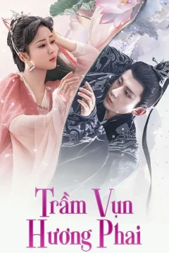 Xem phim Trầm Vụn Hương Phai - RoPhim