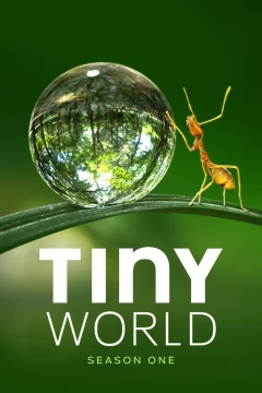 Xem phim Thế Giới Siêu Nhỏ - Tiny World - RoPhim