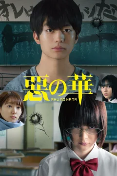 Xem phim 惡の華 - RoPhim