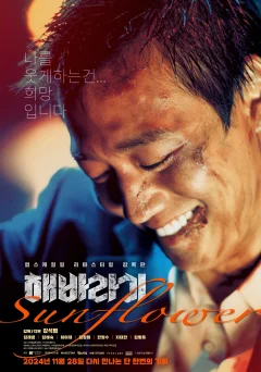 Xem phim 해바라기 - RoPhim