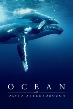 Xem phim Ocean with David Attenborough - RoPhim